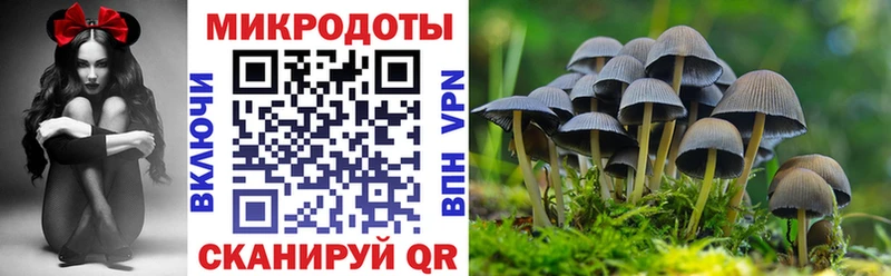 Псилоцибиновые грибы Cubensis  Купить где  Инсар 